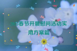 2023春节开展慰问活动实用方案篇