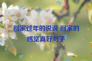 回家过年的说说 回家的感觉真好句子
