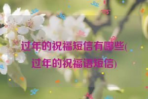 过年的祝福短信有哪些(过年的祝福语短信)