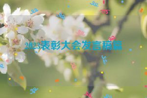 2023表彰大会发言稿篇