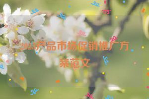 2023产品市场促销推广方案范文