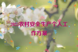2023农村安全生产个人工作方案