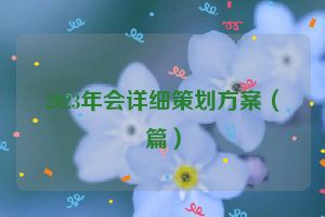 2023年会详细策划方案（篇）