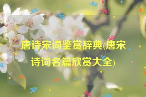 唐诗宋词鉴赏辞典(唐宋诗词名篇欣赏大全)