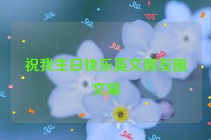 祝我生日快乐英文朋友圈文案