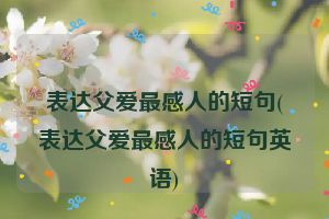 表达父爱最感人的短句(表达父爱最感人的短句英语)