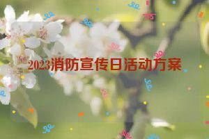 2023消防宣传日活动方案