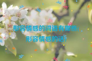 形容情感的词语有哪些(形容情感的话)
