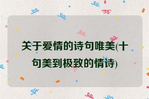 关于爱情的诗句唯美(十句美到极致的情诗)