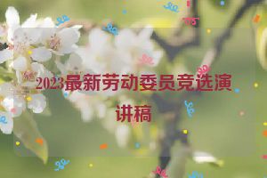 2023最新劳动委员竞选演讲稿