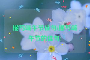 描写端午节佳句(描写端午节的佳句)