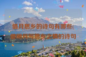 借月思乡的诗句有哪些(借明月写思乡之情的诗句)