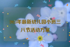 2023年最新幼儿园小班三八节活动方案
