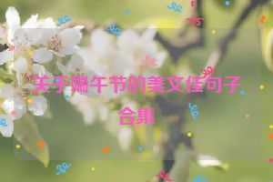 关于端午节的美文佳句子合集