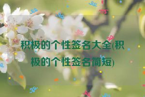 积极的个性签名大全(积极的个性签名简短)