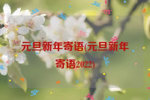 元旦新年寄语(元旦新年寄语2022)