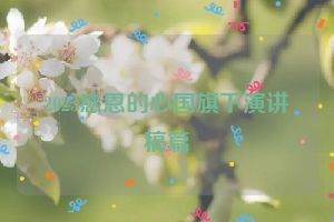2023感恩的心国旗下演讲稿篇