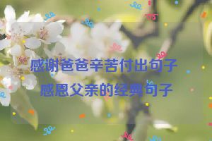 感谢爸爸辛苦付出句子 感恩父亲的经典句子
