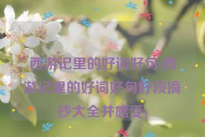 西游记里的好词好句(西游记里的好词好句好段摘抄大全并感受)
