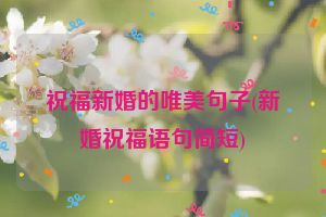 祝福新婚的唯美句子(新婚祝福语句简短)