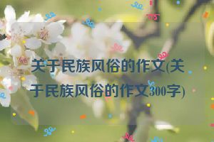 关于民族风俗的作文(关于民族风俗的作文300字)