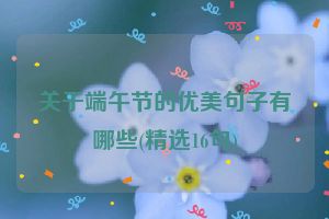 关于端午节的优美句子有哪些(精选16句)