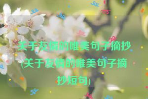 关于友情的唯美句子摘抄(关于友情的唯美句子摘抄短句)