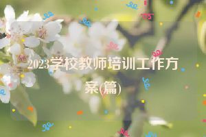 2023学校教师培训工作方案(篇)