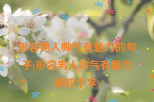 形容男人帅气有魅力的句子(形容男人帅气有魅力的四个字)