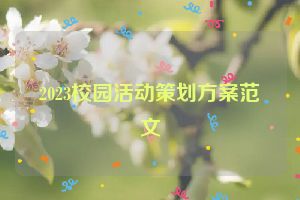 2023校园活动策划方案范文