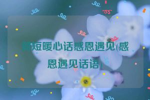 简短暖心话感恩遇见(感恩遇见话语)