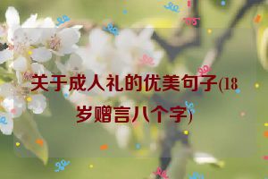 关于成人礼的优美句子(18岁赠言八个字)