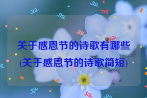 关于感恩节的诗歌有哪些(关于感恩节的诗歌简短)