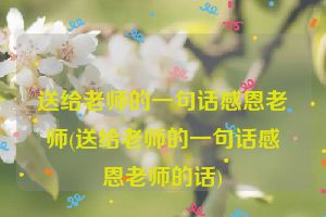 送给老师的一句话感恩老师(送给老师的一句话感恩老师的话)