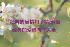 经典的爱情句子精选(最经典的爱情句子大全)
