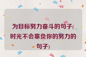 为目标努力奋斗的句子(时光不会辜负你的努力的句子)