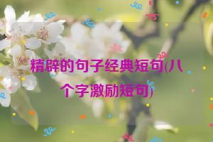 精辟的句子经典短句(八个字激励短句)