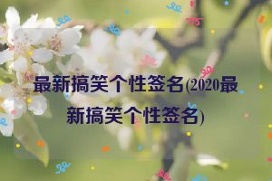 最新搞笑个性签名(2020最新搞笑个性签名)