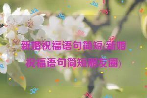 新婚祝福语句简短(新婚祝福语句简短朋友圈)