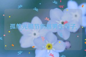 孤单光棍节伤感男生句子