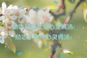 励志短篇文章心灵鸡汤(励志小短句心灵鸡汤)