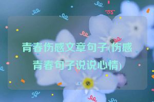 青春伤感文章句子(伤感青春句子说说心情)