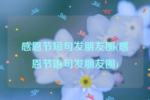 感恩节短句发朋友圈(感恩节语句发朋友圈)