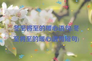 冬至将至的暖心语句(冬至将至的暖心语句短句)