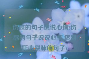 伤感的句子说说心情(伤感的句子说说心情,疼到撕心裂肺的句子)