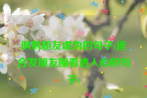 讽刺朋友虚伪的句子(适合发朋友圈看透人心的句子)