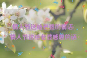 情人节送给老婆的情话(情人节送给老婆感恩的话)