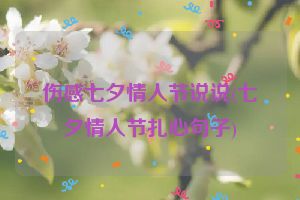 伤感七夕情人节说说(七夕情人节扎心句子)