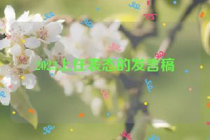 2023上任表态的发言稿