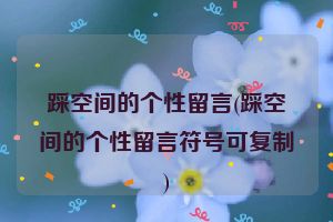 踩空间的个性留言(踩空间的个性留言符号可复制)